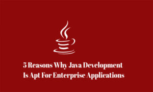 java enterprise application development