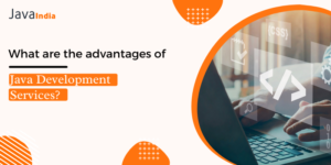 Exploring the Future of Java Web Application Development